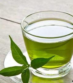 绿茶成精吃瓜,一场奇幻的跨界之旅