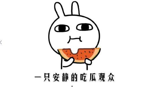 吃瓜著名事件,揭秘那些年我们一起吃过的瓜