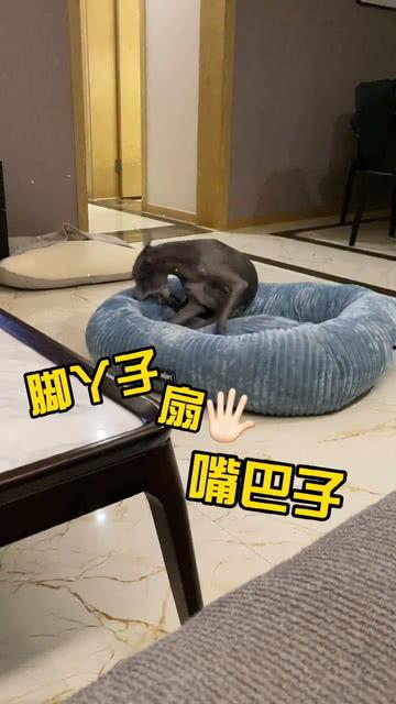 吃瓜吃自己身上了,一场意外的“吃瓜”奇遇