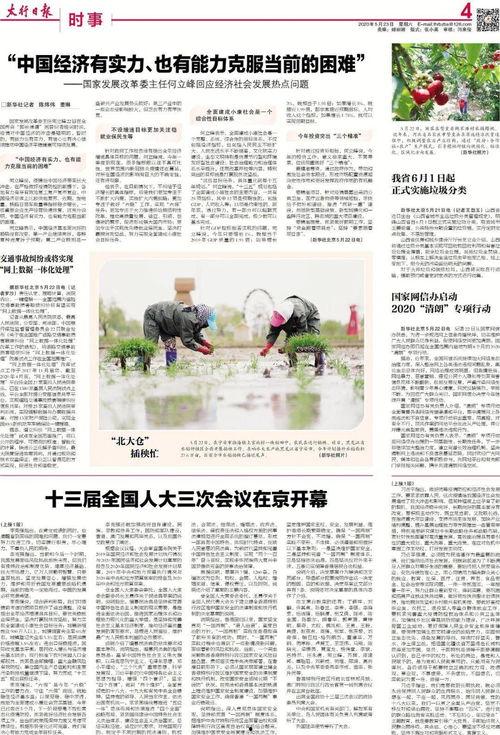 吃瓜日报电子奏章版,电子奏章版深度解析，揭秘娱乐圈幕后风云