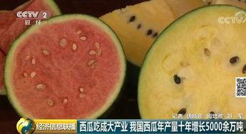 2018年吃瓜,盘点那些年我们一起“吃瓜”的日子